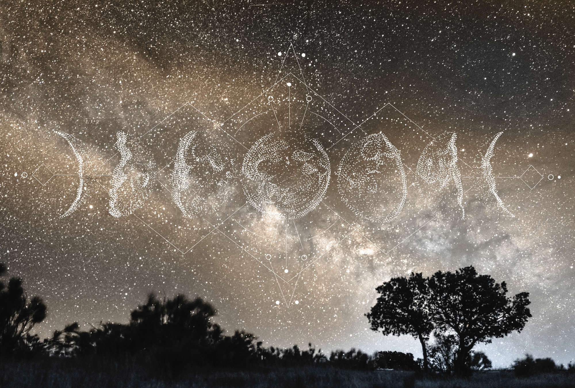 Natur, Nacht, Draußen, Baum, Landschaft