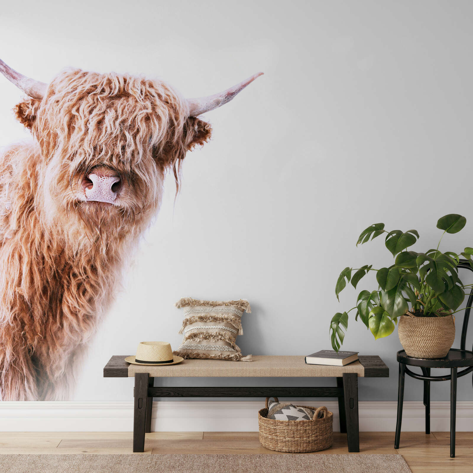 Highland Cattle, Wandbild, Haustierdeko?, Herde?, Wohnzimmer-Dekoration