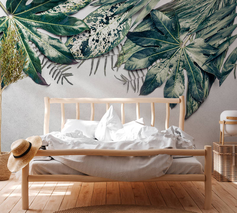             Fototapete Hängegarten Monstera Blätter – Blau, Grün
        