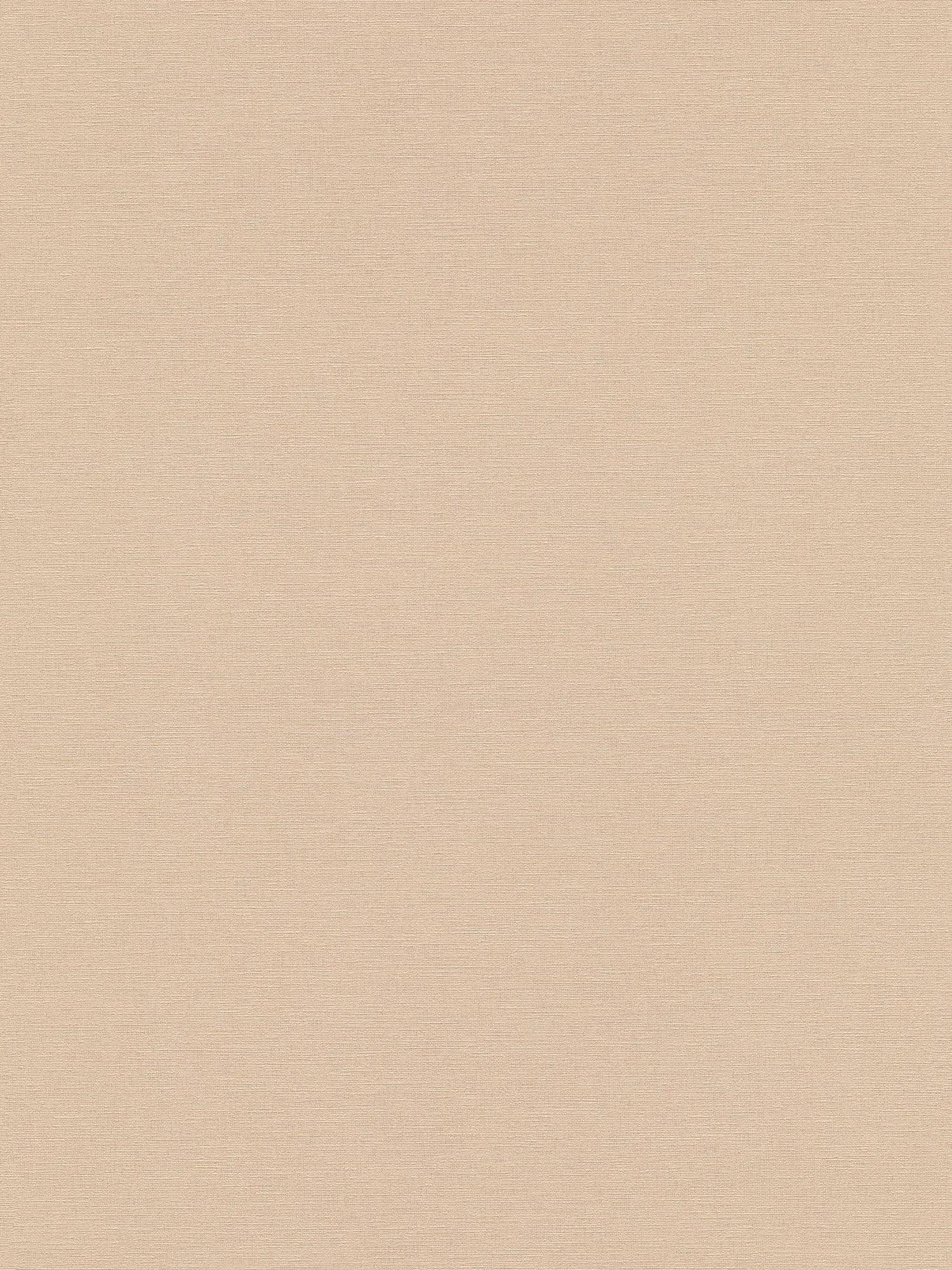 Dezente Unioptik Vliestapete mit feiner Struktur und mattem Finish – Beige, Beige