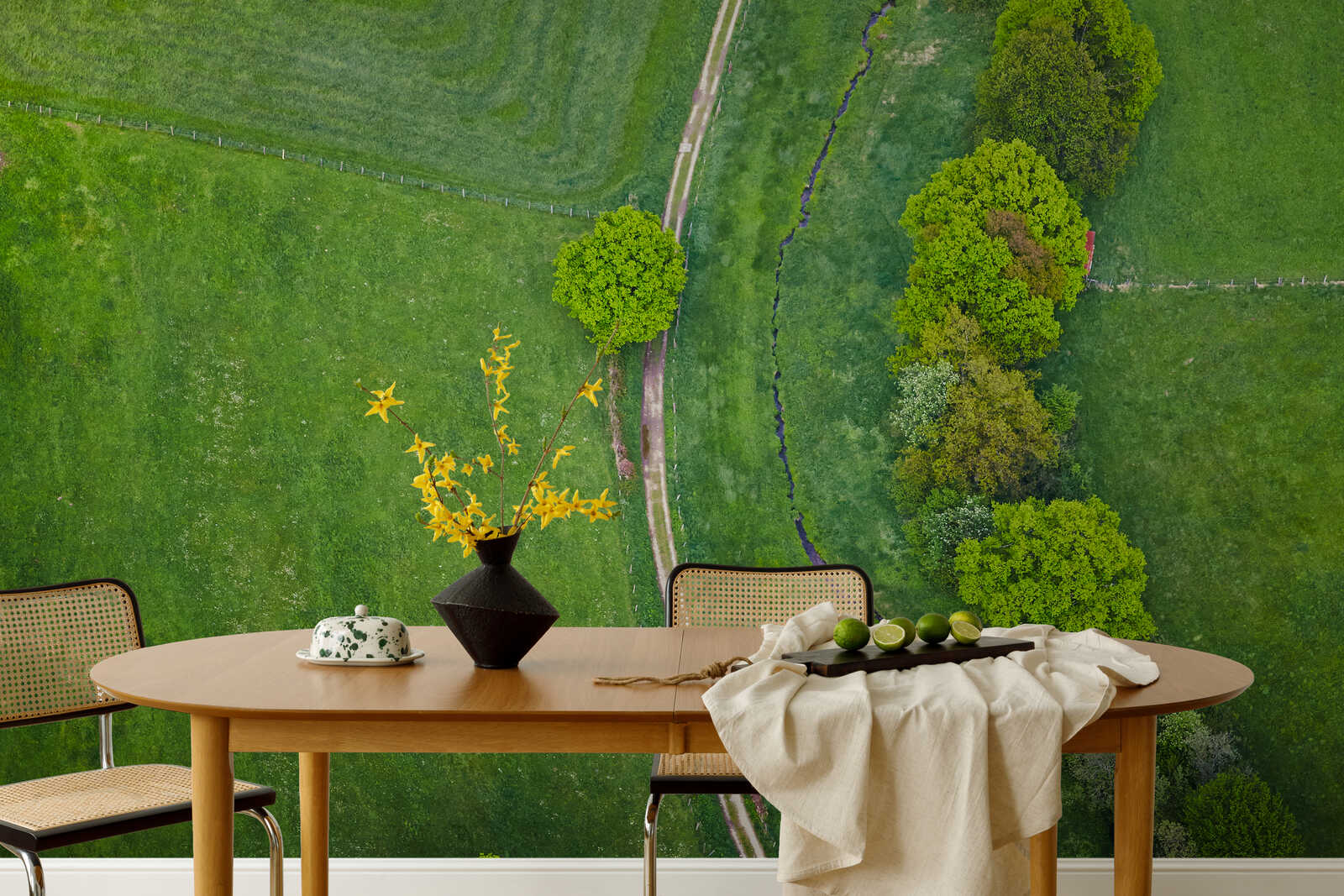 Esstisch, Vase, Blumen, Limonen, Draufsicht