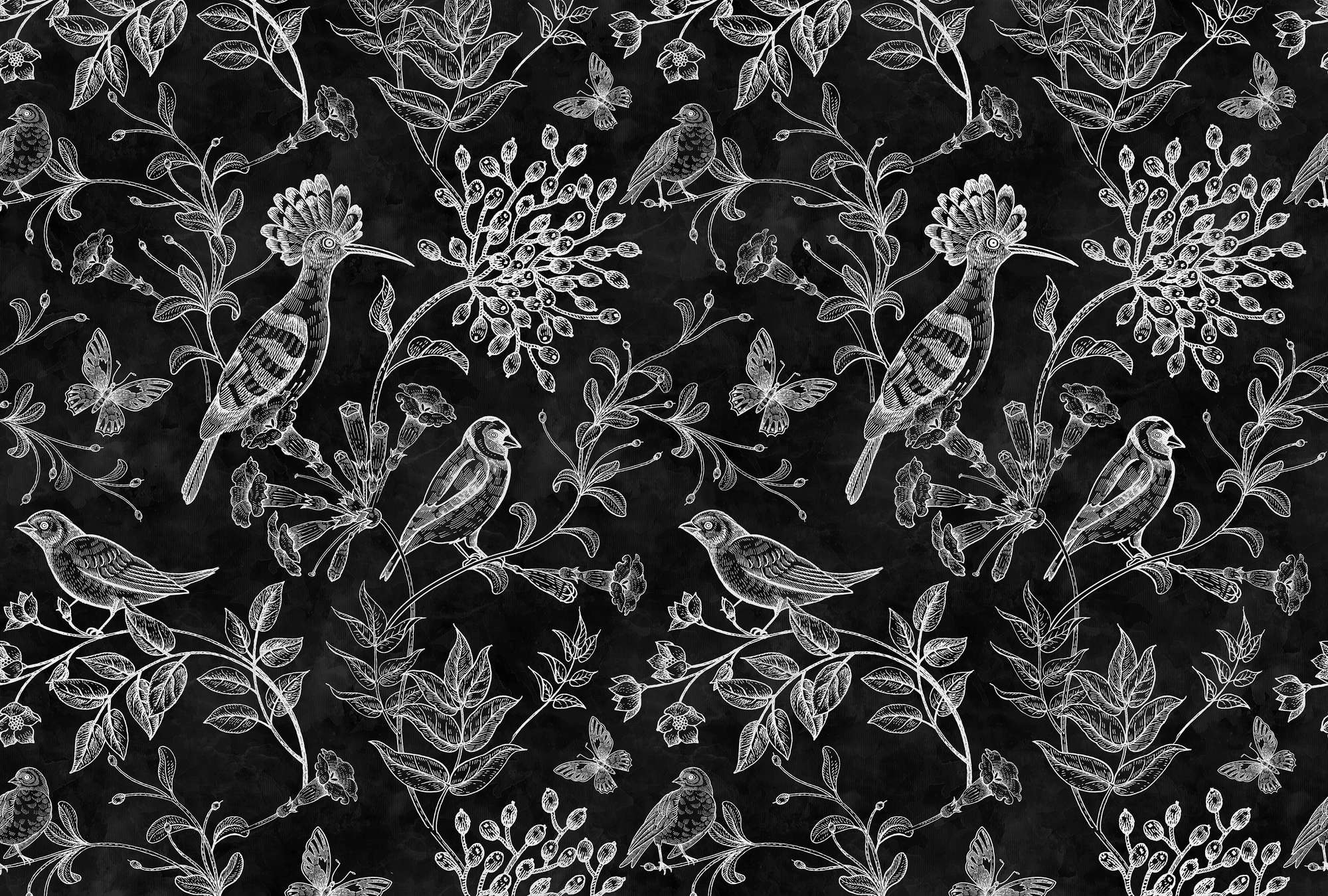             Fototapete Natur Design in Schwarz-Weiß – Walls by Patel
        