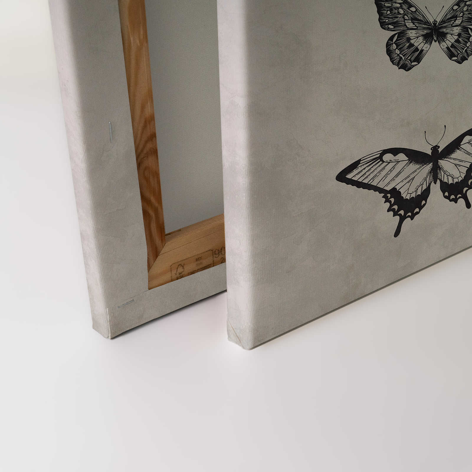             Schmetterling Leinwandbild Schwarz-Weiß Zeichnungen – 0,90 m x 0,60 m
        