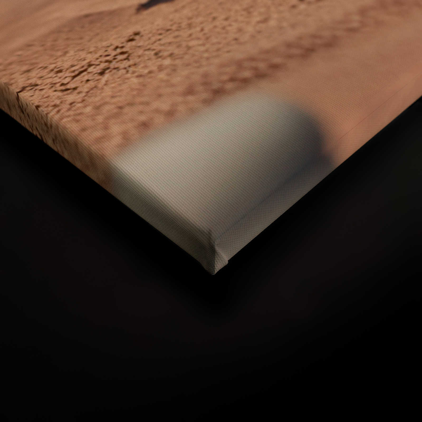             KI-Leinwandbild »Fishy Beachday« – 90 cm x 60 cm
        