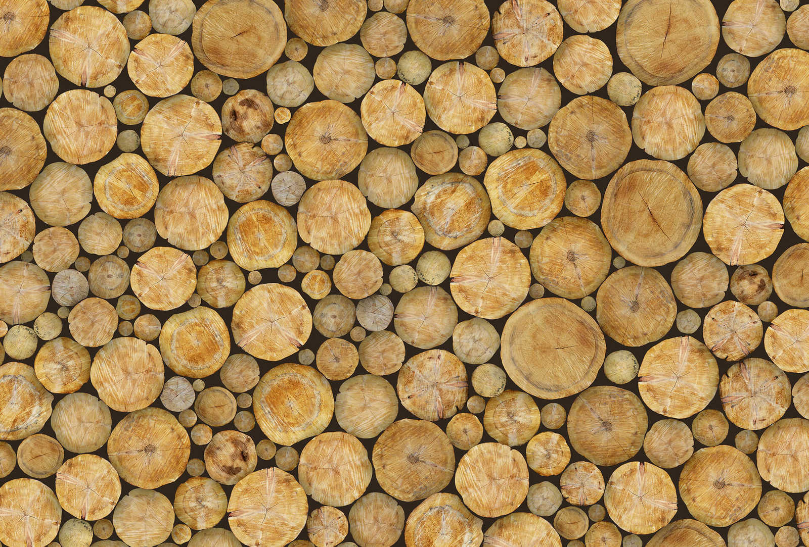         Fototapete Baumstamm 3D Optik – Braun, Beige, Schwarz
    