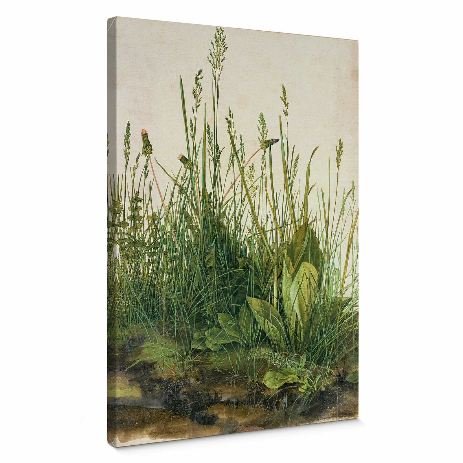         Canvas schilderij "De Grote Gazon" van Dürer - 0.50 m x 0.70 m
    