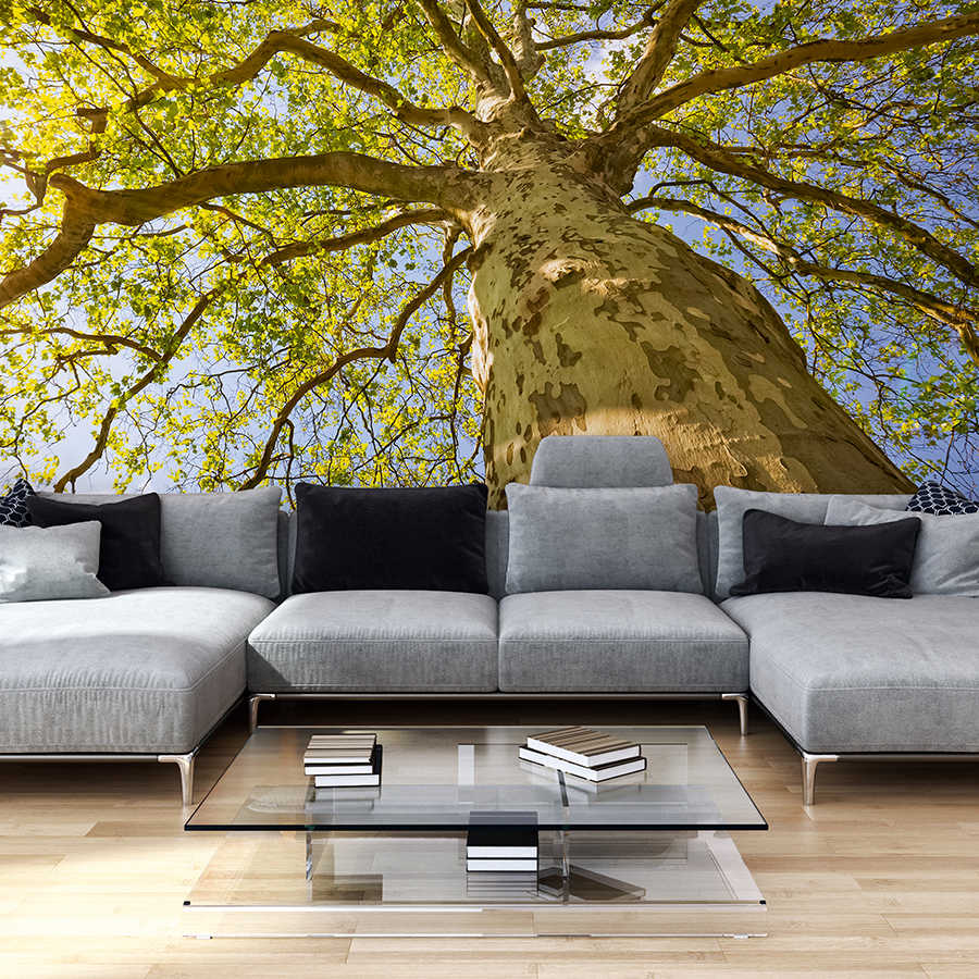 Couch, Sofa, Wohnzimmer, Couchtisch, Wandwand mural
