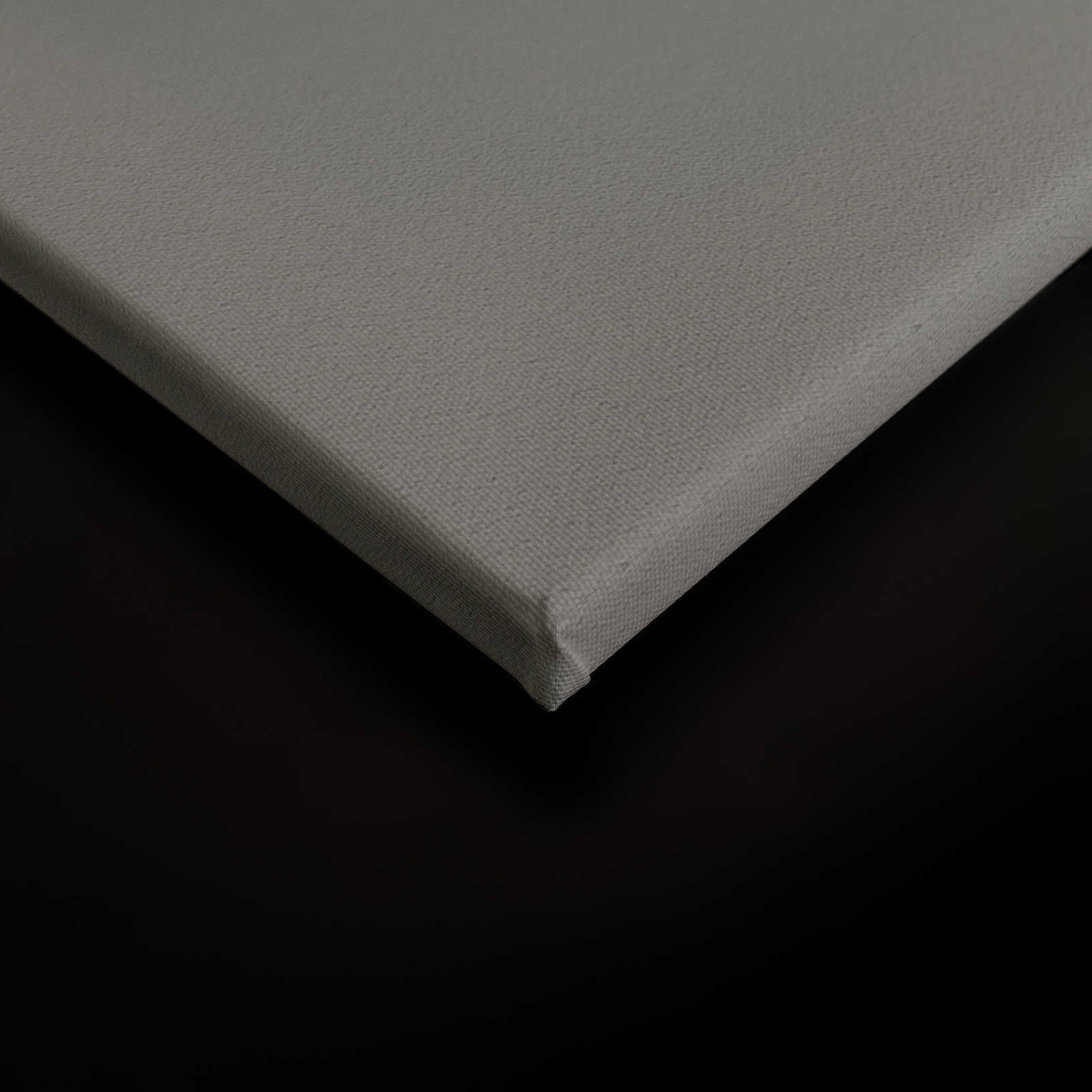 Hidden Places 1 - Leinwandbild 3D Effekt mit verborgenem Motiv – 0,90 m x 0,60 m