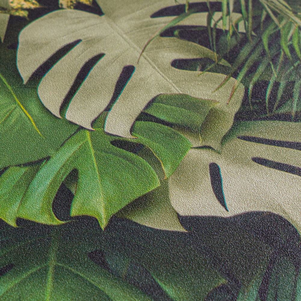 Blatt, Pflanze, Vegetation, Baum