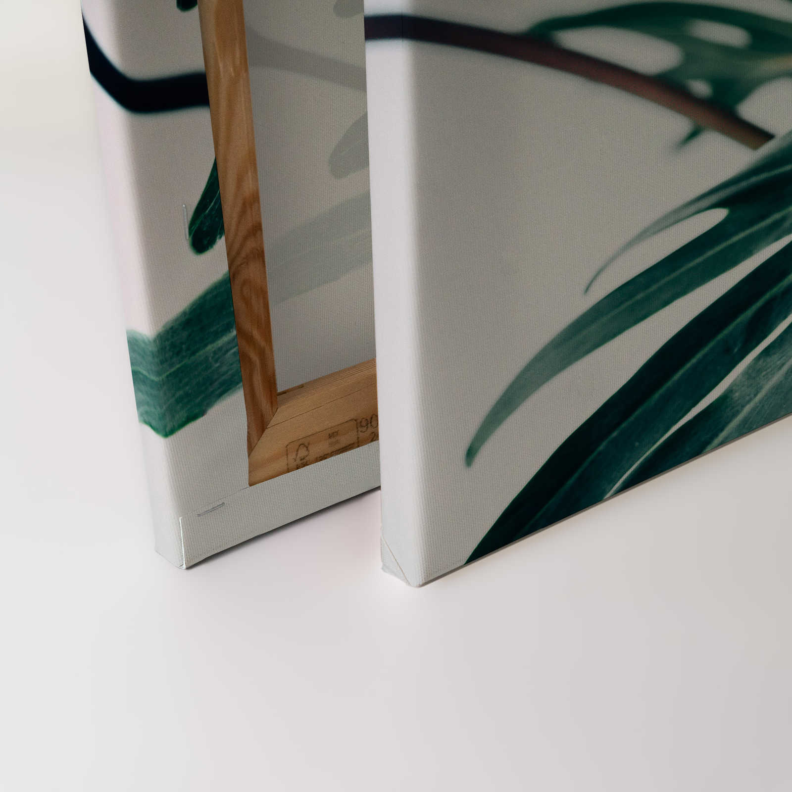             Leinwandbild tropisches Dschungelblatt Nahaufnahme – 0,90 m x 0,60 m
        