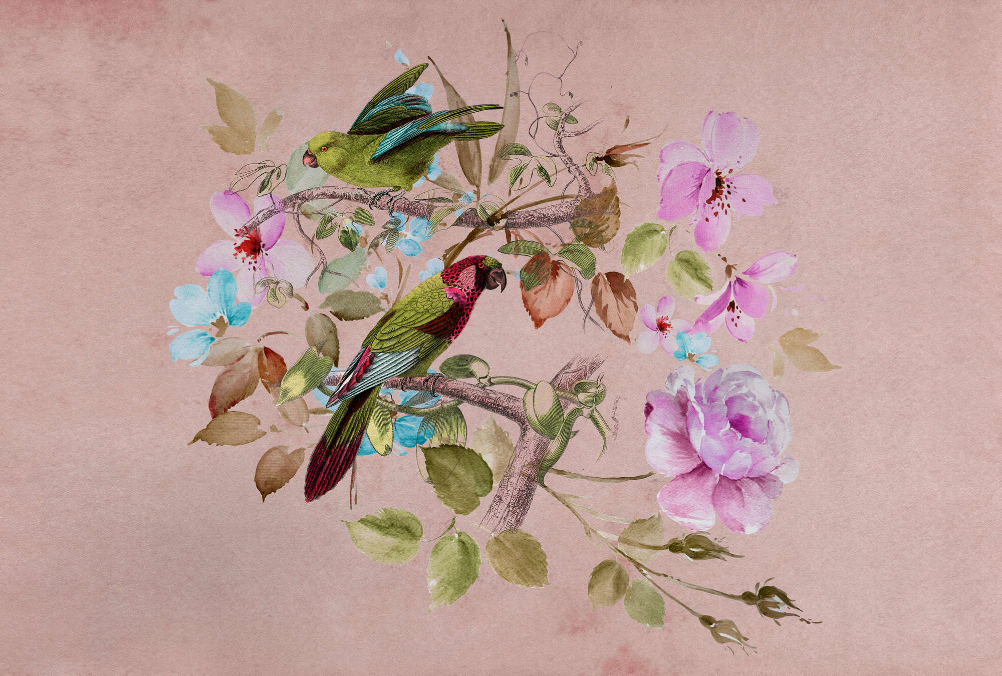 Vogel, Blume, Rose, Muster, Florales Design