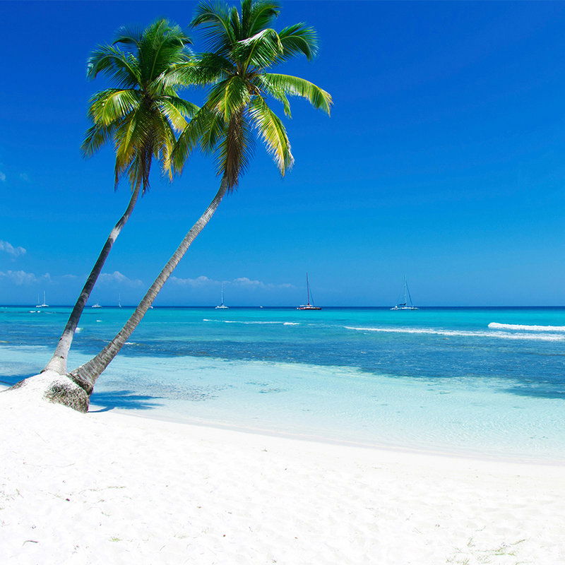         Digital behang zandstrand in wit met palmboom - Premium glad vlies
    