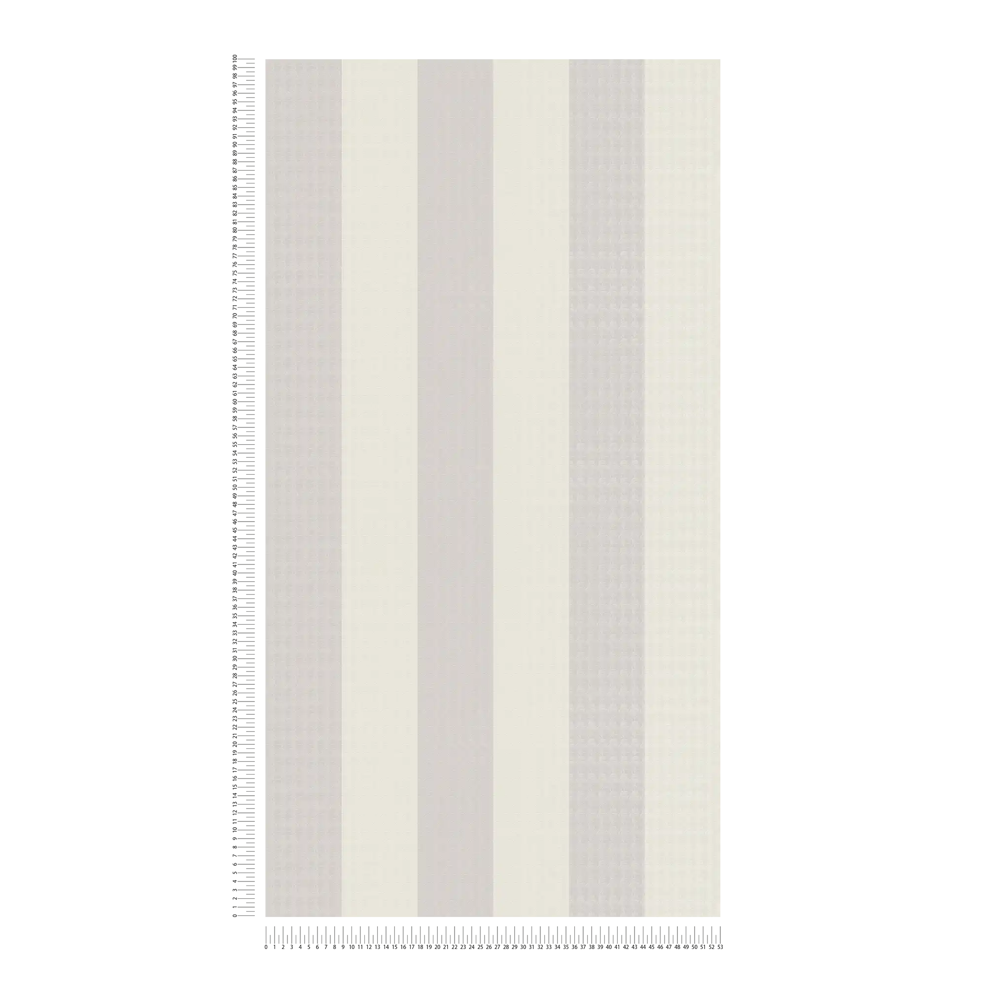             Tapete Karl LAGERFELD Streifen Profil Muster – Beige
        
