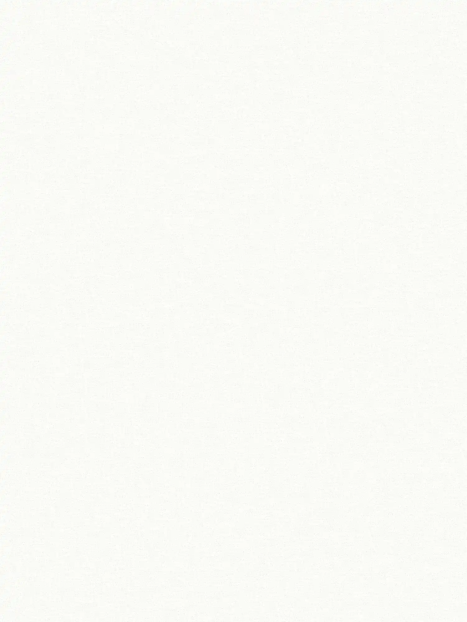         Einfarbige Tapete reines Weiß von MICHALSKY
    