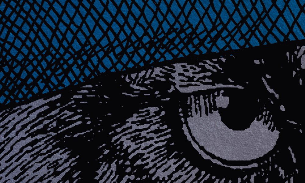             Papier peint Panthère au look pirate - bleu, noir
        