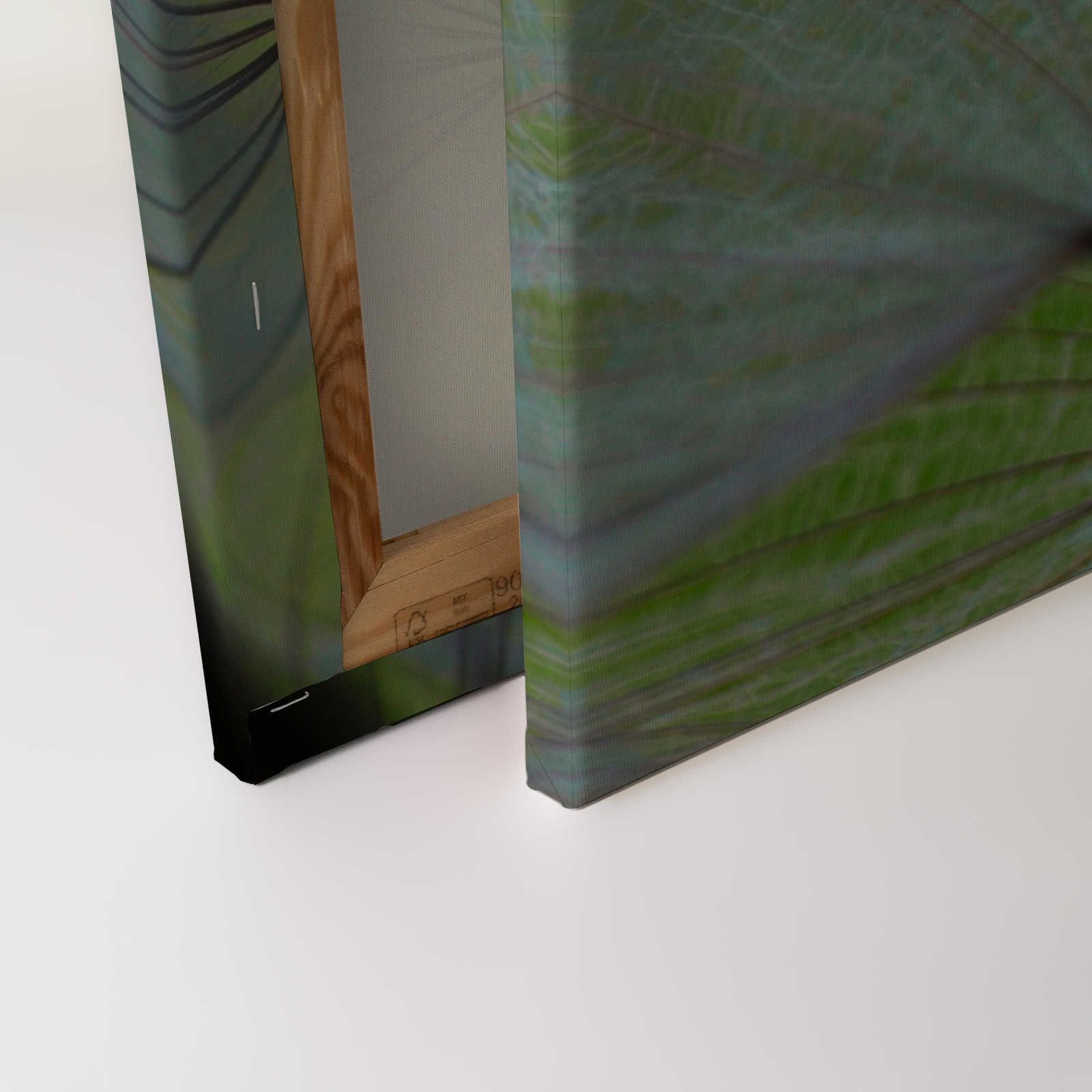             Leinwandbild Detailaufnahme mit Pusteblumen – 0,90 m x 0,60 m
        