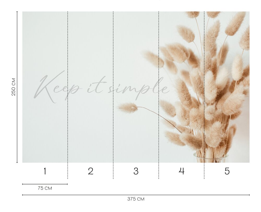             Fototapete 'Keep it Simple' – Pampasgras-Vliestapete für ruhige und natürliche Räume – Bunt
        