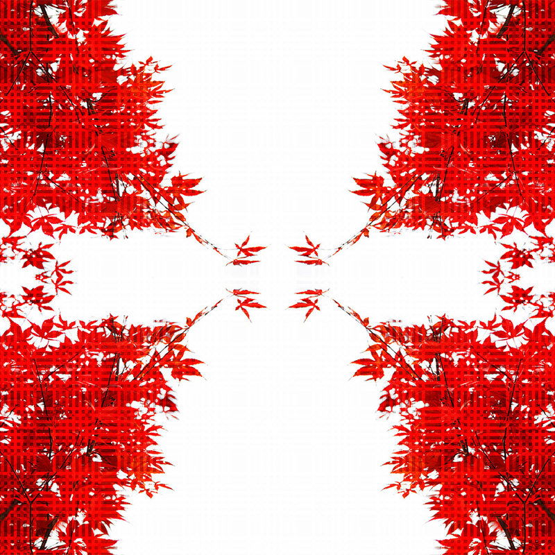         Natur Design Fototapete – Vliestapete mit roten Blättern in moderner Optik – Rot, Weiß
    