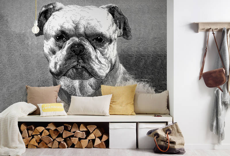 dog mural, bulldog wall, living room decor, wood storage, throw pillows