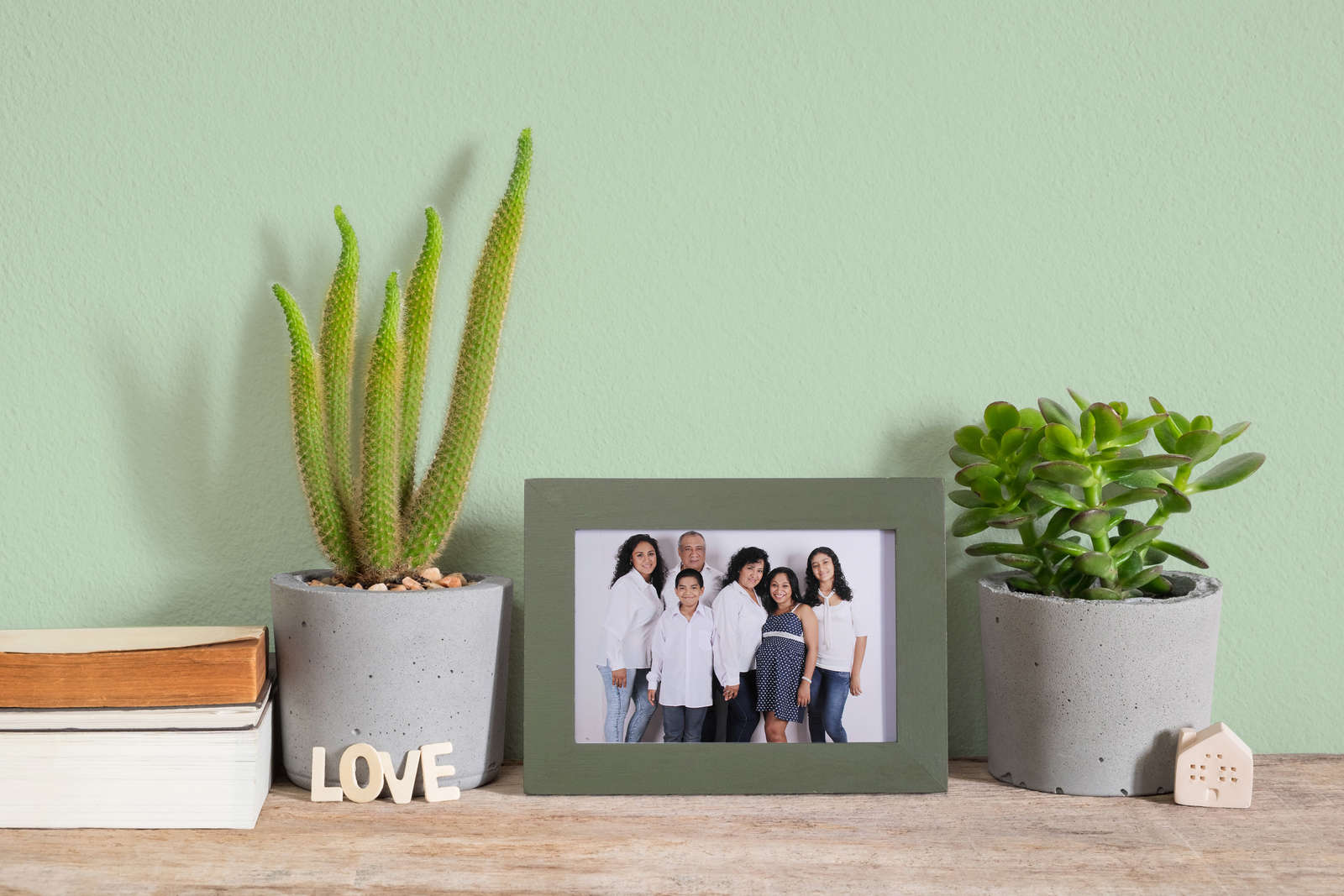 Pflanze, Person, Topfpflanze, Fotorahmen