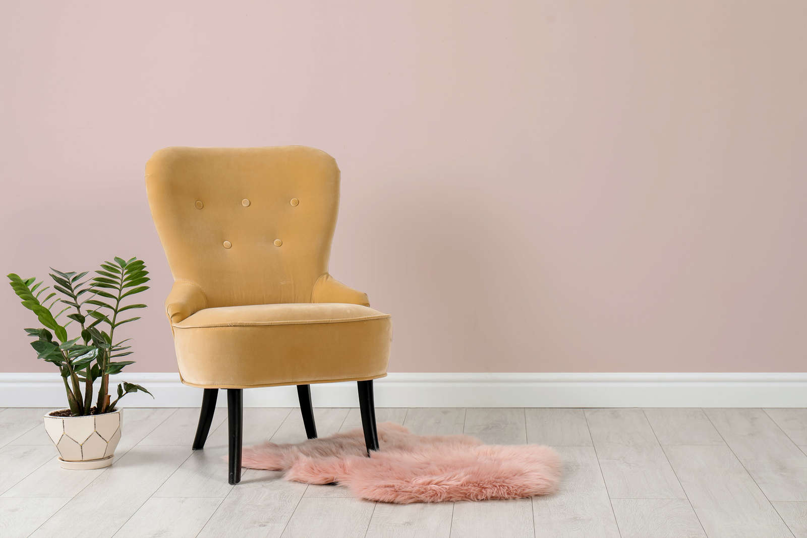 Sessel, Samt, Beige, Holzbeine, Pflanze