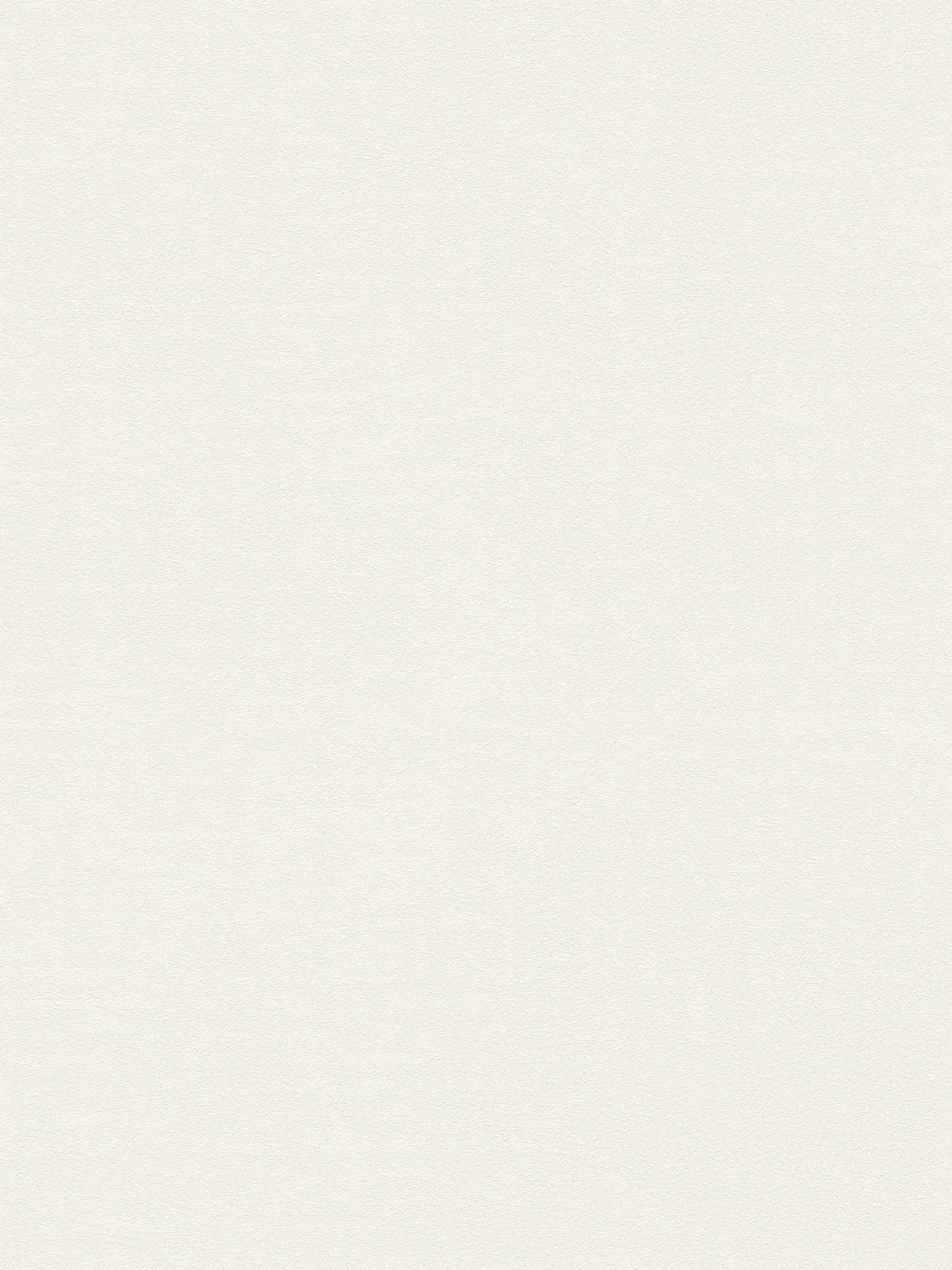 papier peint en papiers peints intissés mat avec une douce lueur et une surface calme - Blanc