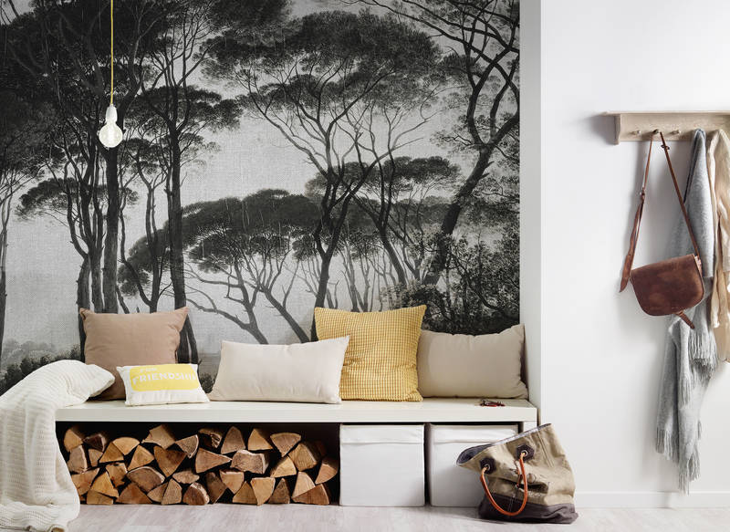 Kissen, Dekoration für Zuhause, Drinnen, Innenarchitektur