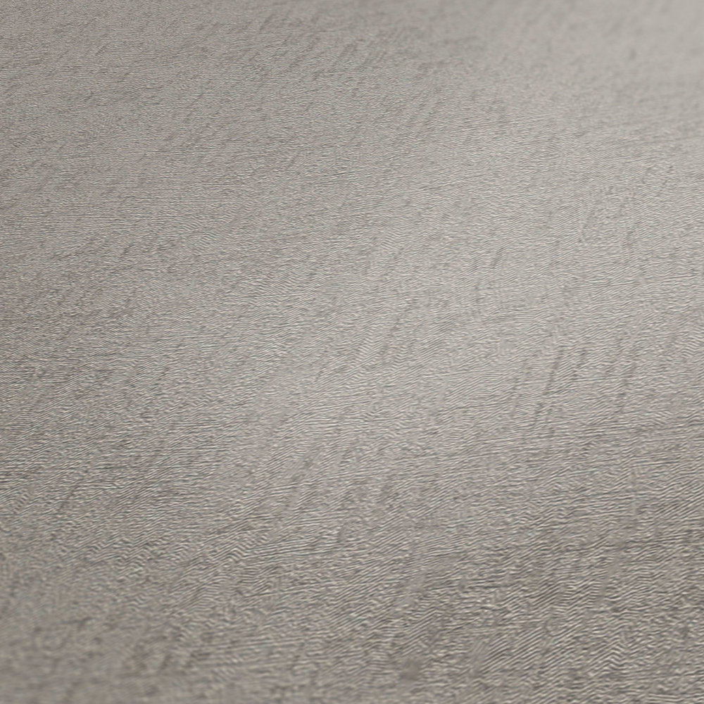             Glänzende Vliestapeten Greige mit Strukturdesign – Grau, Metallic
        