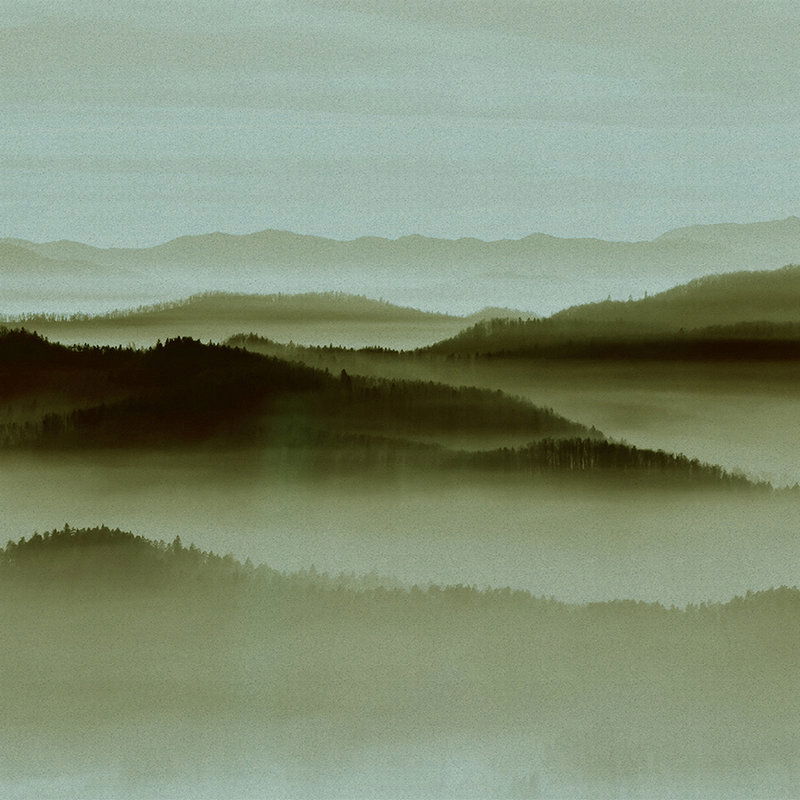 Natur, Draußen, Wetter, Nebel