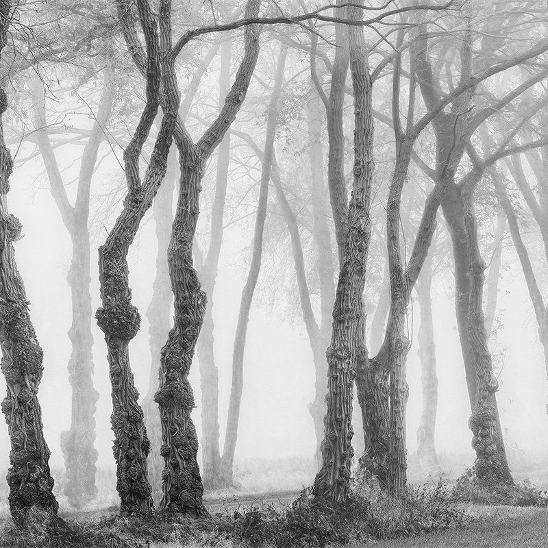         Architects Paper Fototapete AP Digital 4
    