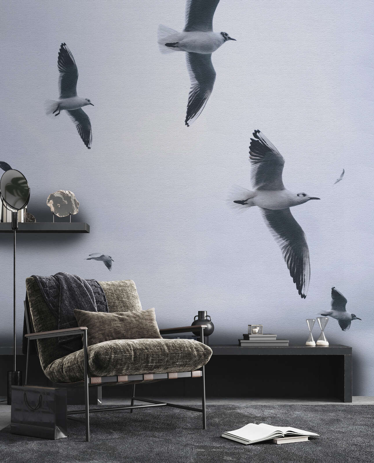 Vogel, Möwe, Wasservögel, Mobiliar, Stuhl