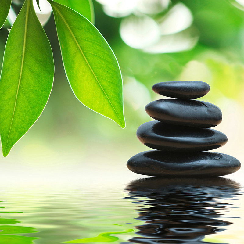 Kieselstein, Blatt, Pflanze