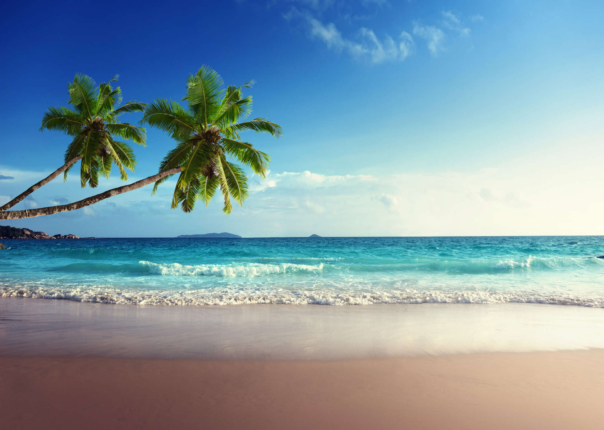 tropische strand,  palmen,  ozean,  wellen,  sandstrand