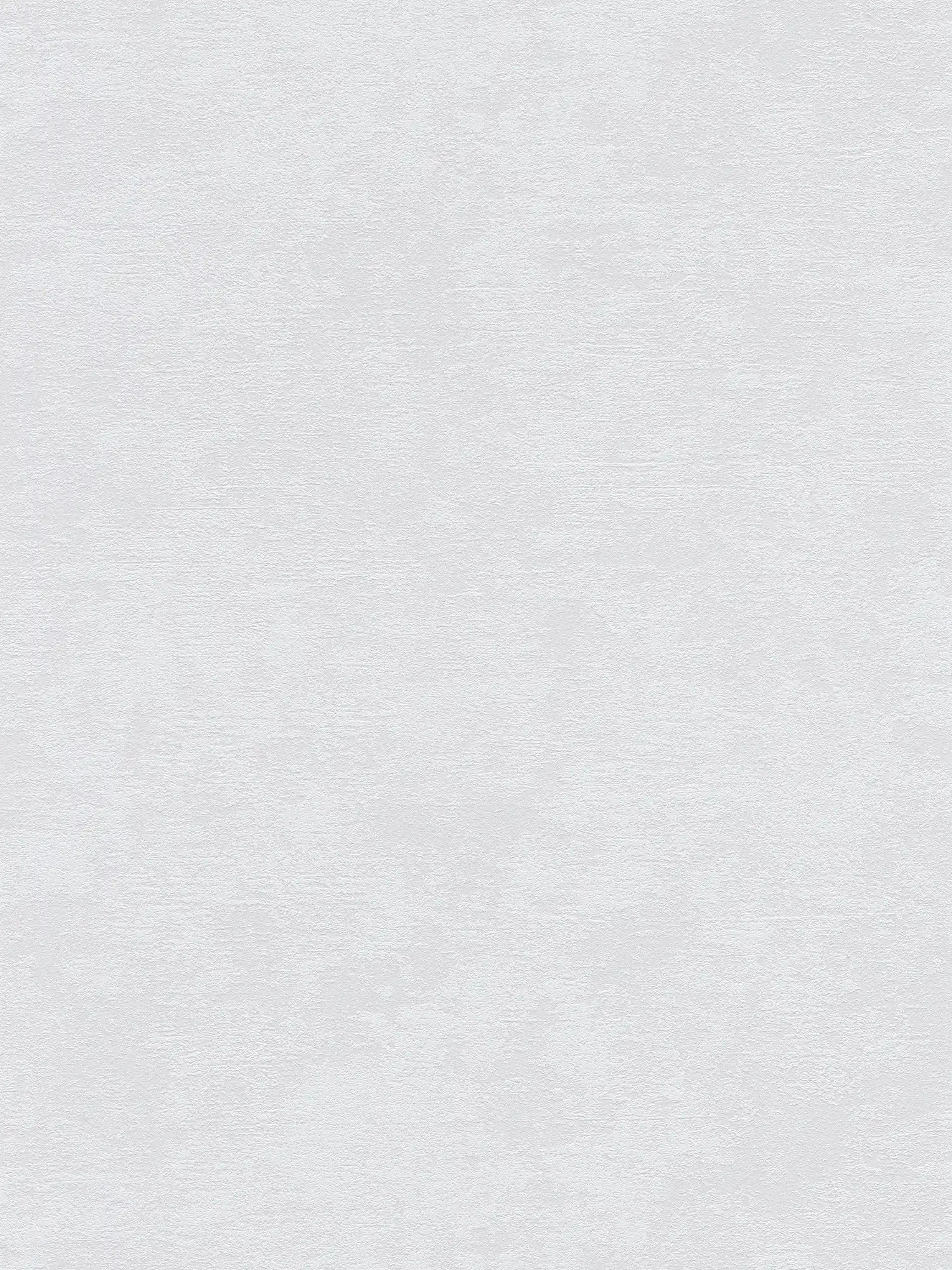         Vliestapete mit Putzstruktur & Textureffekt – Beige
    