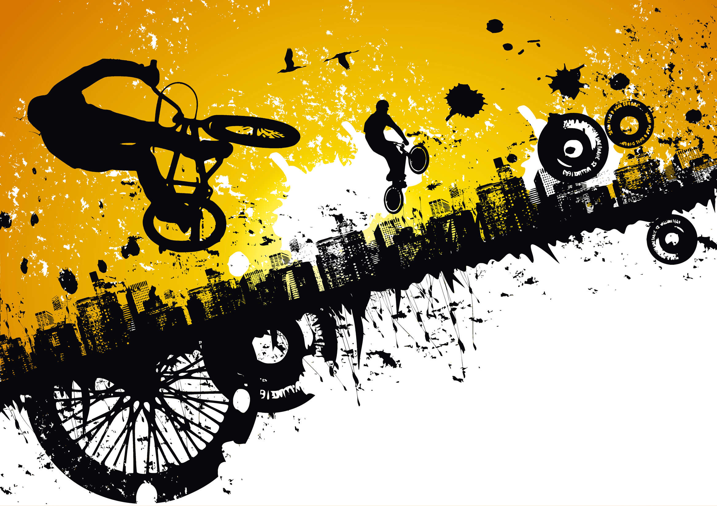 BMX Fahrrad, Stuntfahrzeug, Mountainbike-Rad
