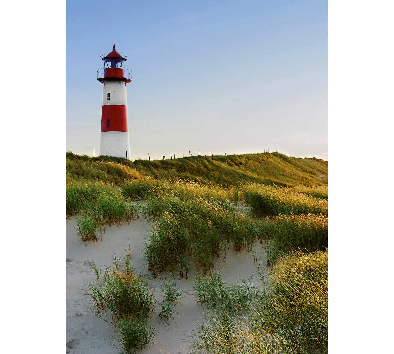         Strand Fototapete Leuchtturm & Dünen im Hochformat
    