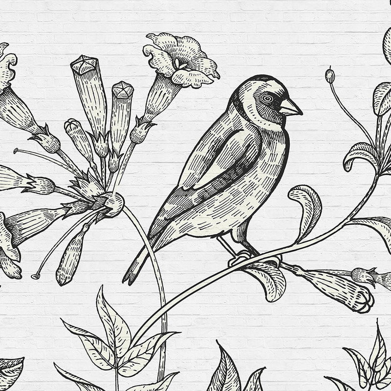 Kunst, Zeichnen, Tier, Vogel