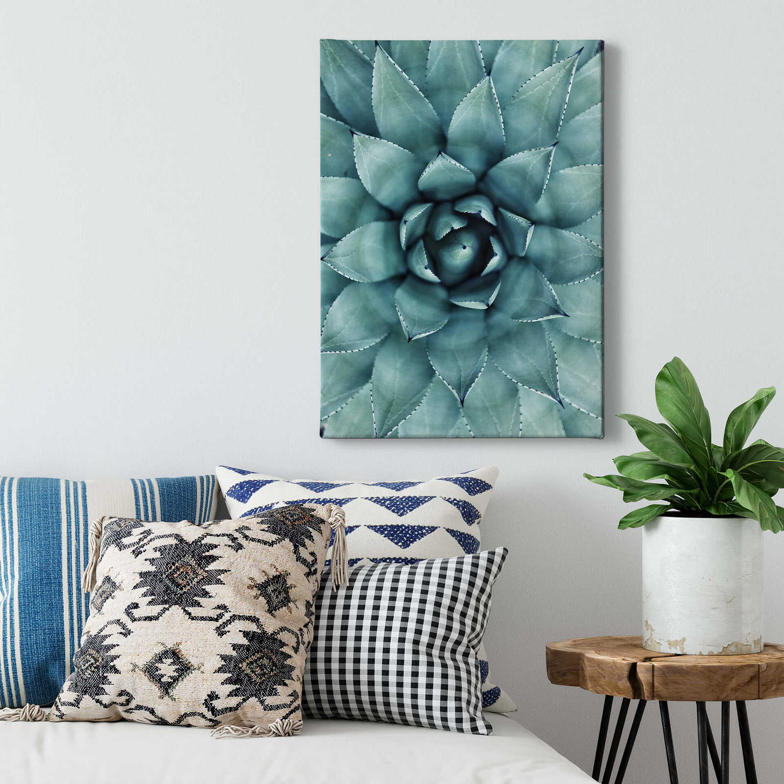             Canvas print Agave from above – green
        