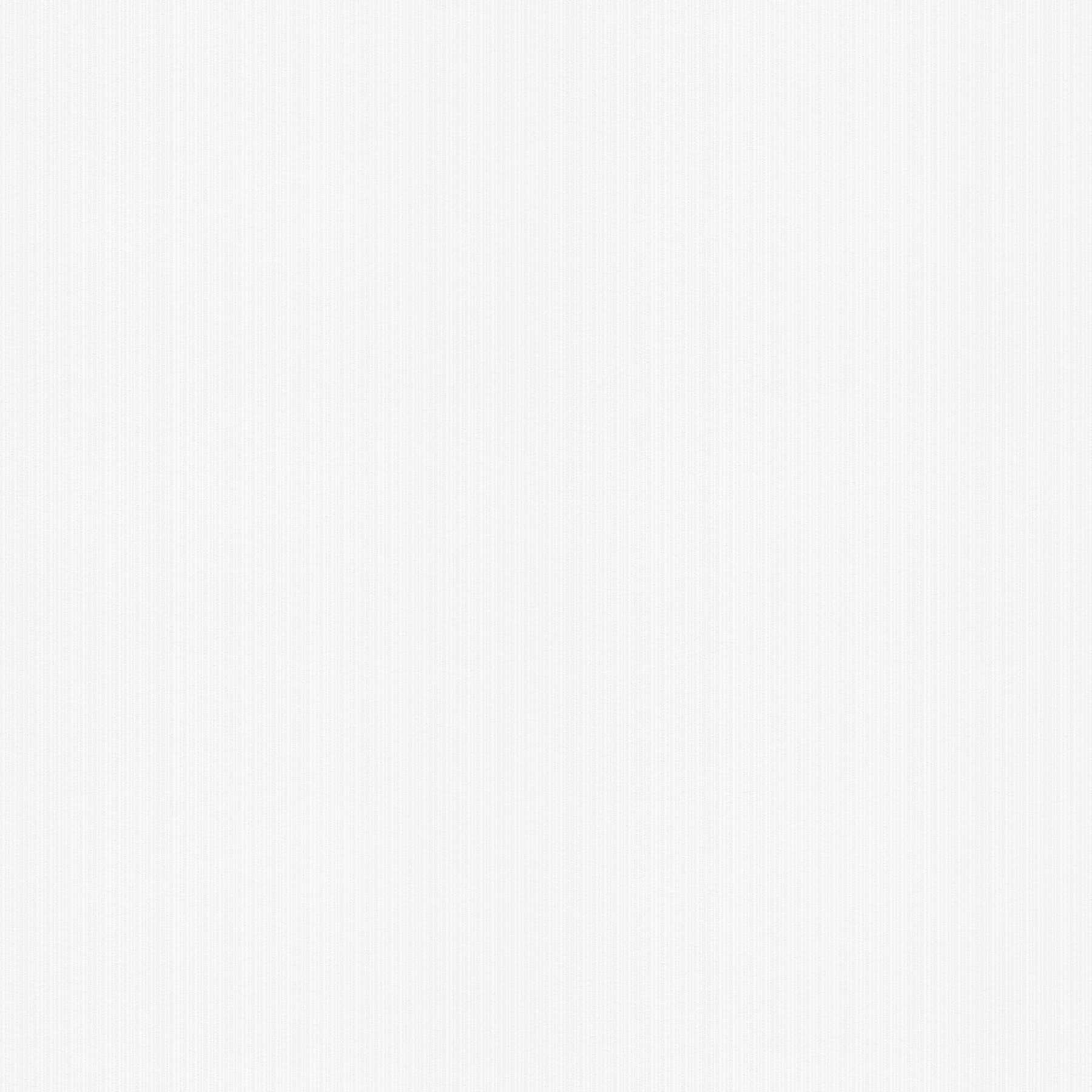         Vliesbehang Pigment effen wit met structuurpatroon
    